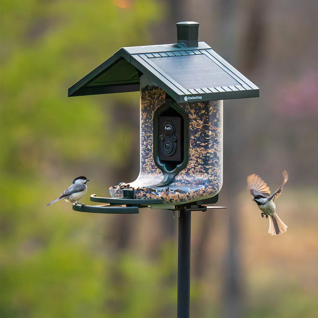 Feather Snap Smart, Solar-Powered Bird Feeder with AI Species Recognition