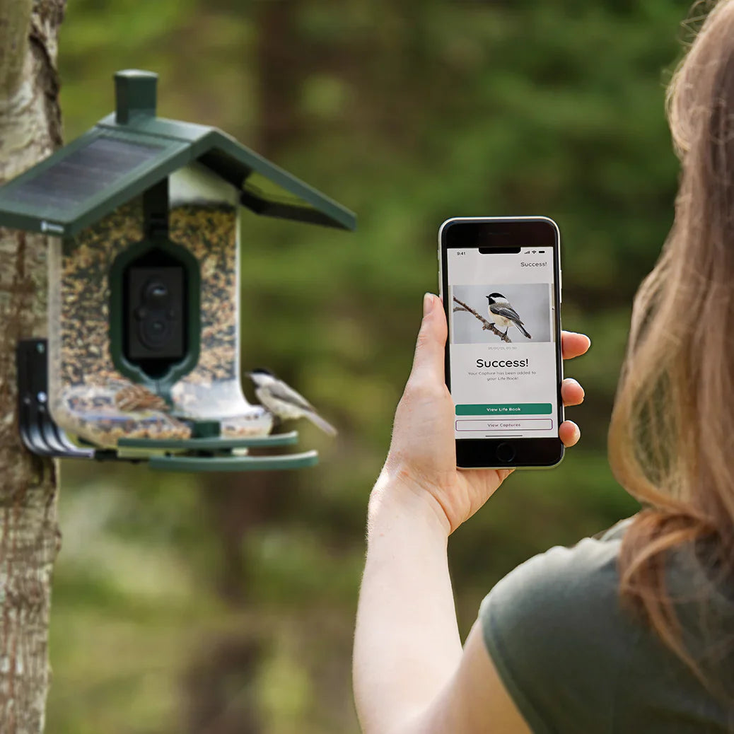 Feather Snap Smart, Solar-Powered Bird Feeder with AI Species Recognition