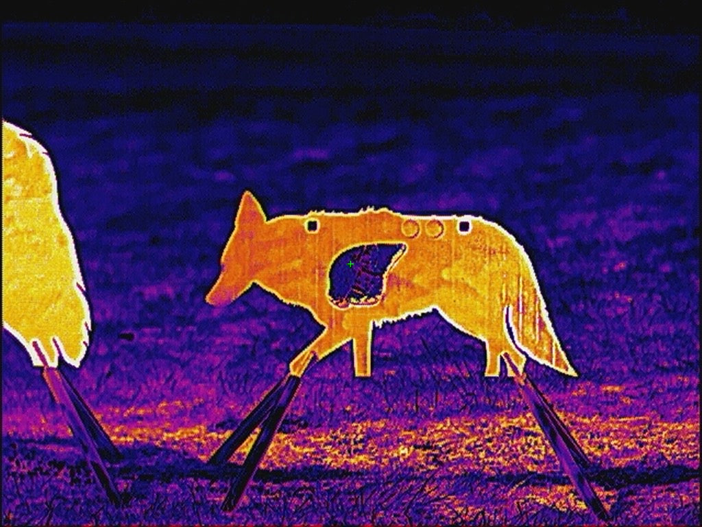 Baby AR500 Coyote Target W/ REACTIVE Vital