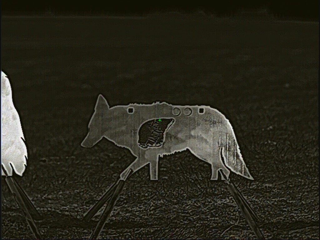 Baby AR500 Coyote Target W/ REACTIVE Vital